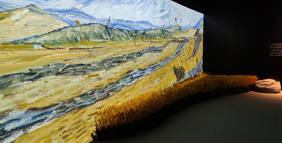 梵高艺术展900.jpg